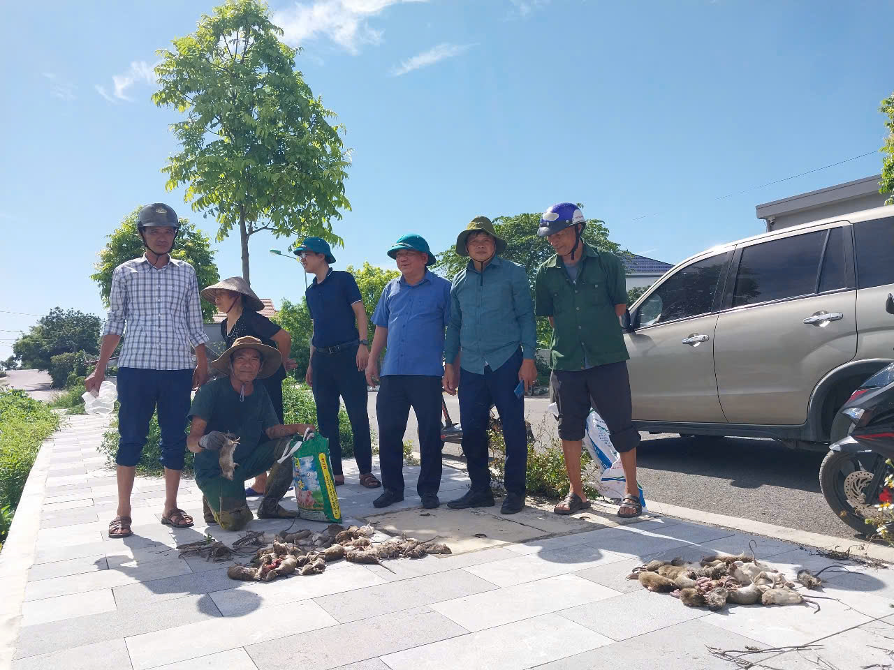 HỒNG MINH ĐỒNG LOẠT RA QUÂN TỔNG DIỆT CHUỘT,  QUYẾT TÂM BẢO VỆ SẢN XUẤT VỤ MÙA 2026
