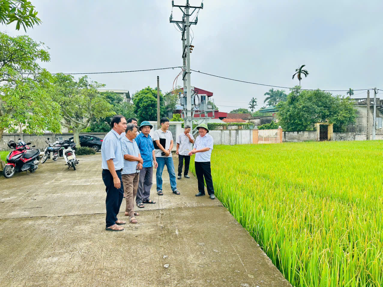 Đồng chí Bí thư Đảng uỷ đi kiểm tra tình hình sản xuất nông nghiệp tại thôn An Tiến, thôn Sàng.