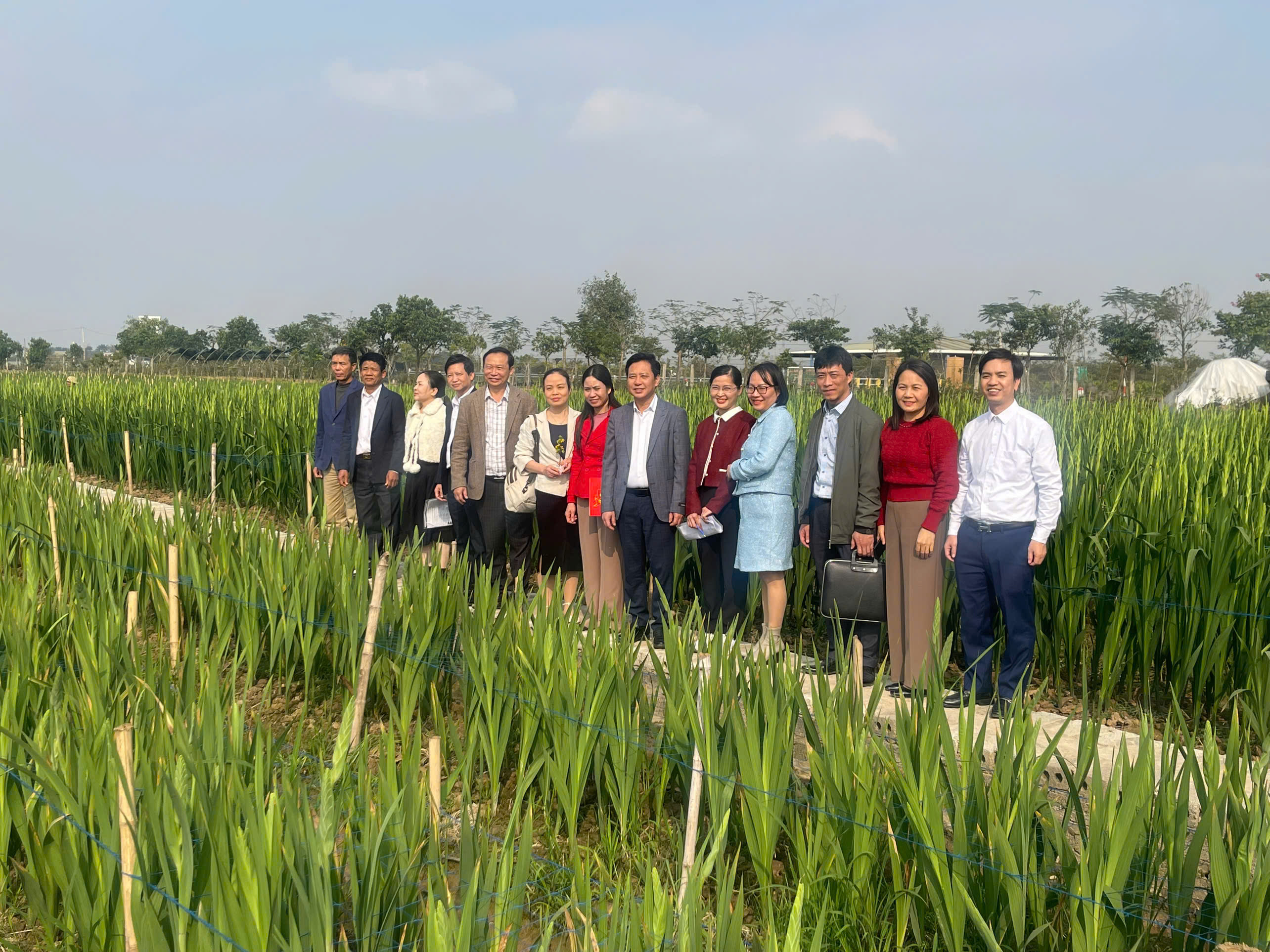 Đánh giá kết quả xây dựng mô hình nhân giống, sản xuất một số loại hoa có giá trị kinh tế cao