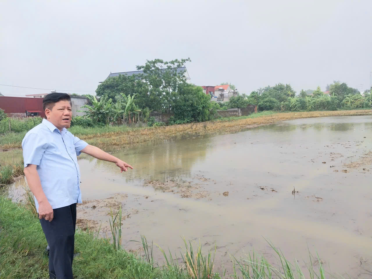 LÃNH ĐẠO XÃ HỒNG MINH KIỂM TRA SẢN XUẤT NÔNG NGHIỆP, CHỦ ĐỘNG ỨNG PHÓ MƯA BÃO